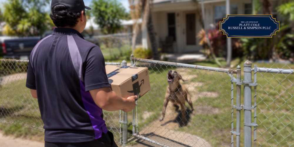 florida strict liability dog owners